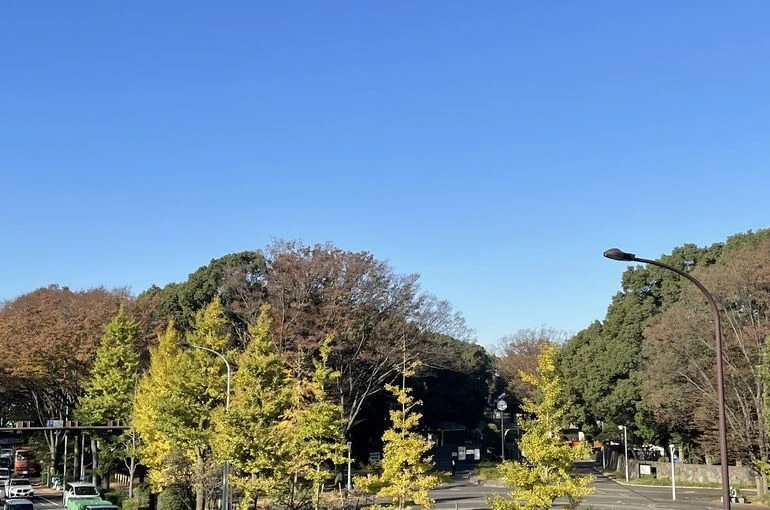 代々木公園